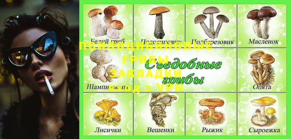 MDMA Premium VHQ Нязепетровск
