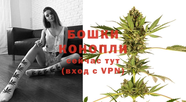 дмт Осташков