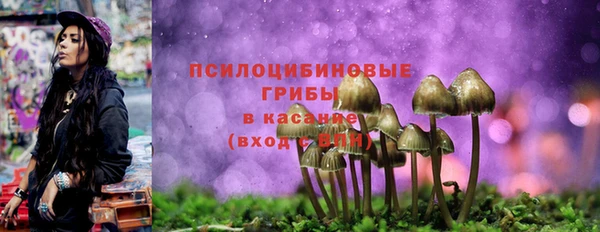 MDMA Premium VHQ Нязепетровск